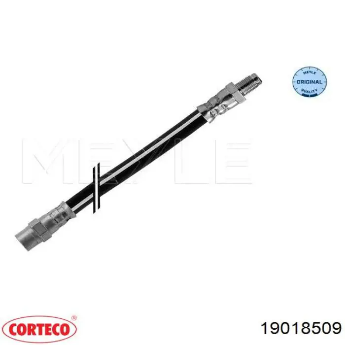 180005 Cautex Manguera de freno trasera