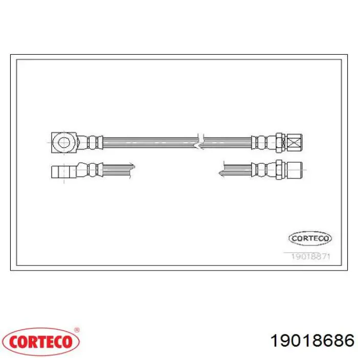 19018686 Corteco