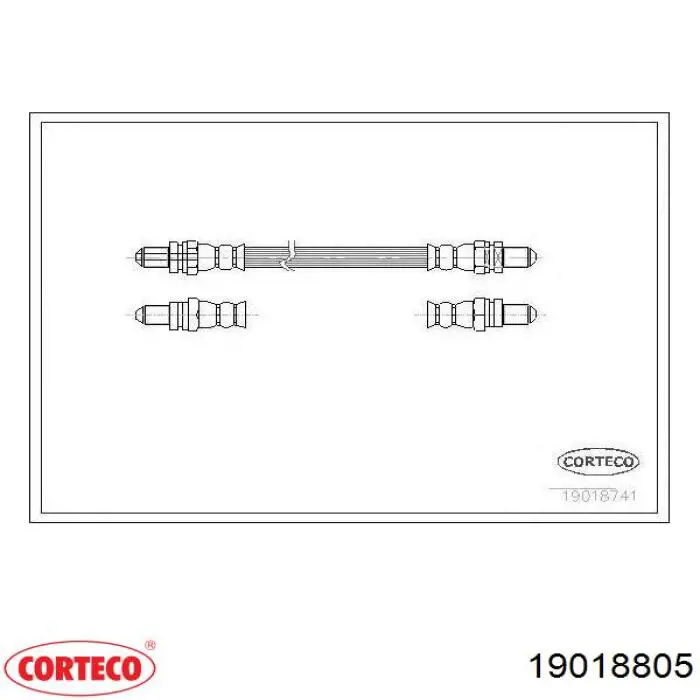 19018805 Corteco latiguillo de freno delantero