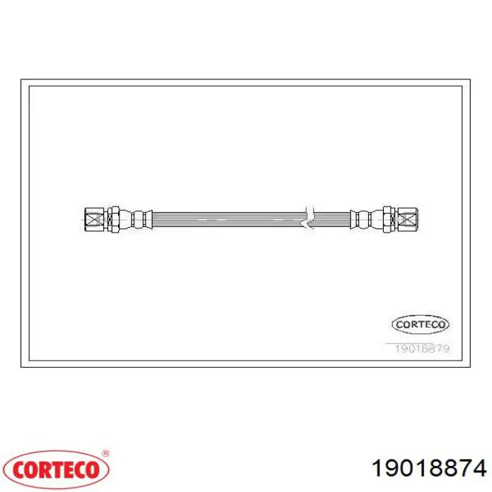19018874 Corteco