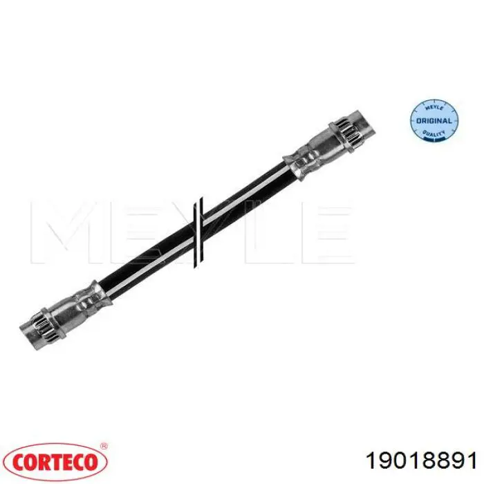 19018891 Corteco tubo flexible de frenos trasero