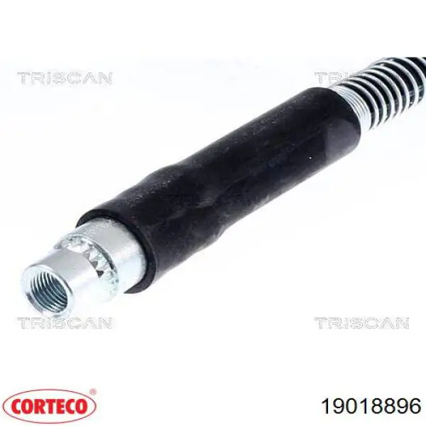 Latiguillos de freno delantero 030019 Cautex