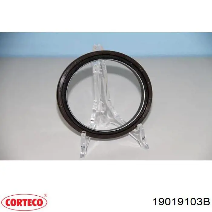 Retén de cigüeñal 19019103B Corteco