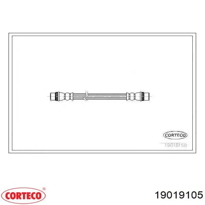 Latiguillo de freno trasero 19019105 Corteco