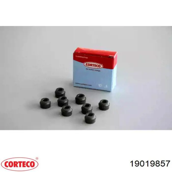 Juego de retenes de válvula de admisión y escape Corteco 19019857 precio, desde 8,92 EUR