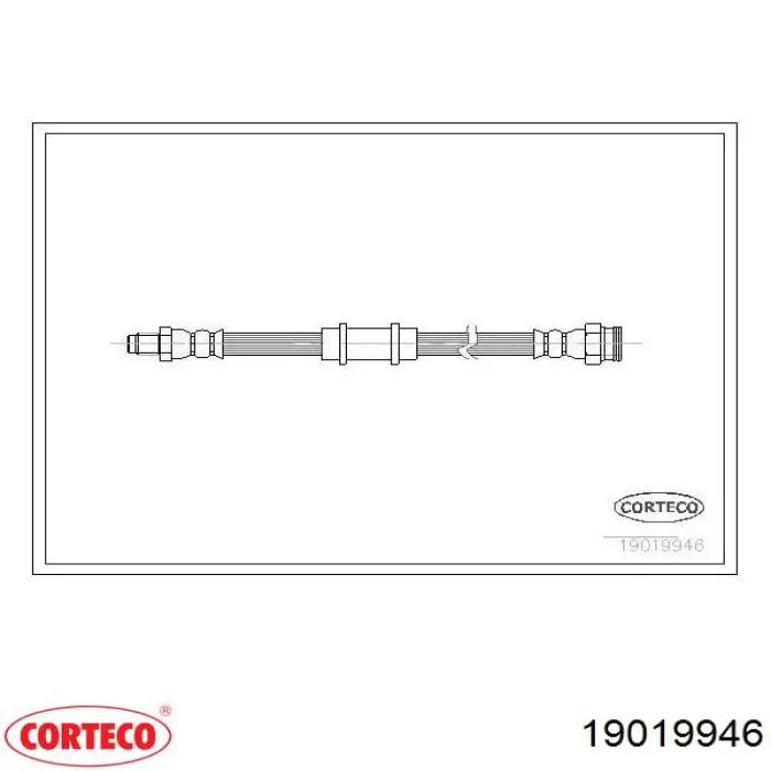 Latiguillos de freno delantero PHB385 TRW