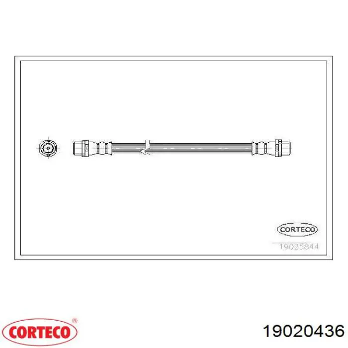 Comprar 19020436 Corteco Latiguillos de freno delantero