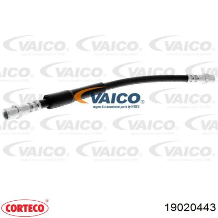 Latiguillos de freno delantero 19020443 Corteco