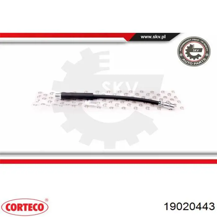 Latiguillos de freno delantero Corteco 19020443 precio, desde 10,94 EUR