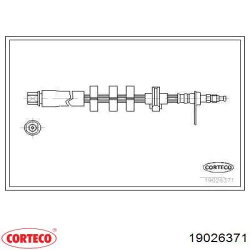 Comprar 19026371 Corteco Latiguillos de freno delantero derecho