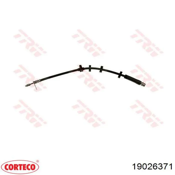 19026371 Corteco Tubo flexible de frenos delantero derecho