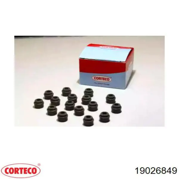 Comprar 19026849 Corteco Sello De Aceite De Valvula (Rascador De Aceite) Entrada/Salida