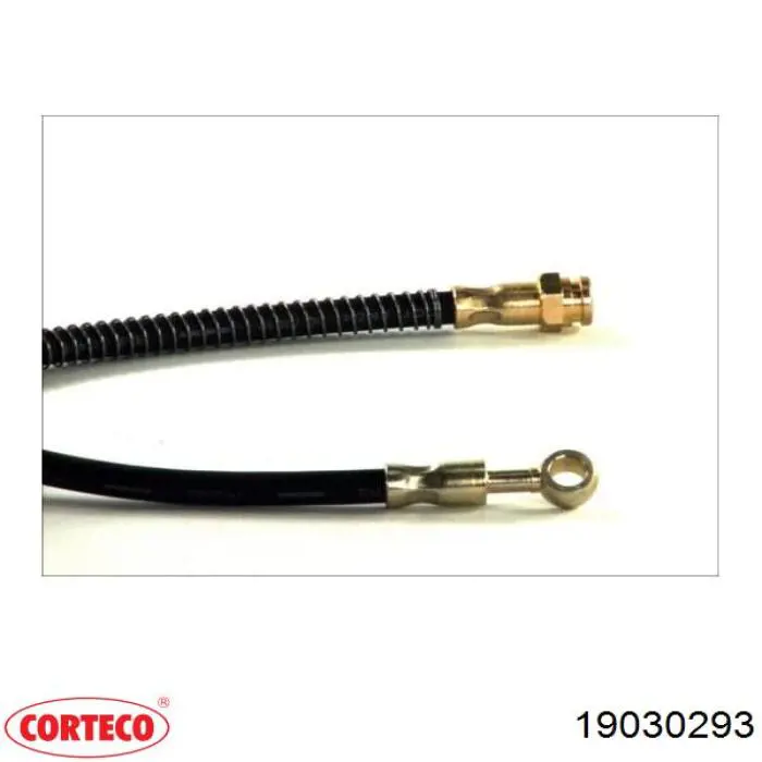 Latiguillos de freno delantero 19030293 Corteco