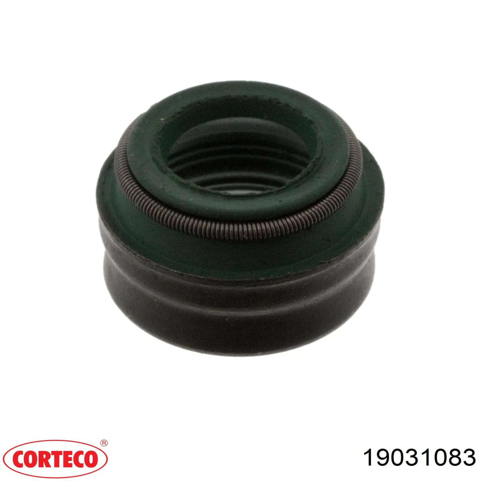 19031083 Corteco Empaquetadura De Aceite De Valvula