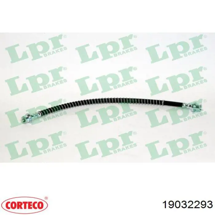 19032293 Corteco tubo flexible de frenos delantero derecho