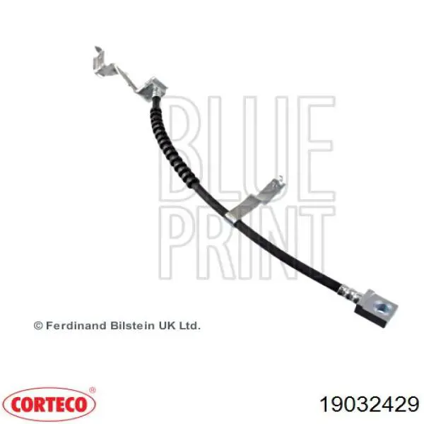 19032429 Corteco tubo flexible de frenos delantero derecho