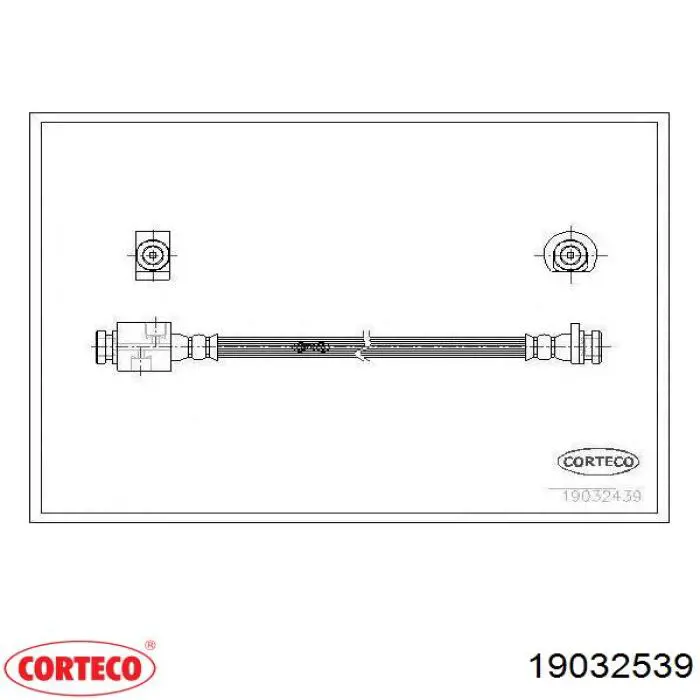 19032539 Corteco