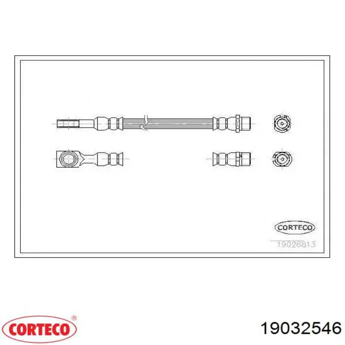 19032546 Corteco