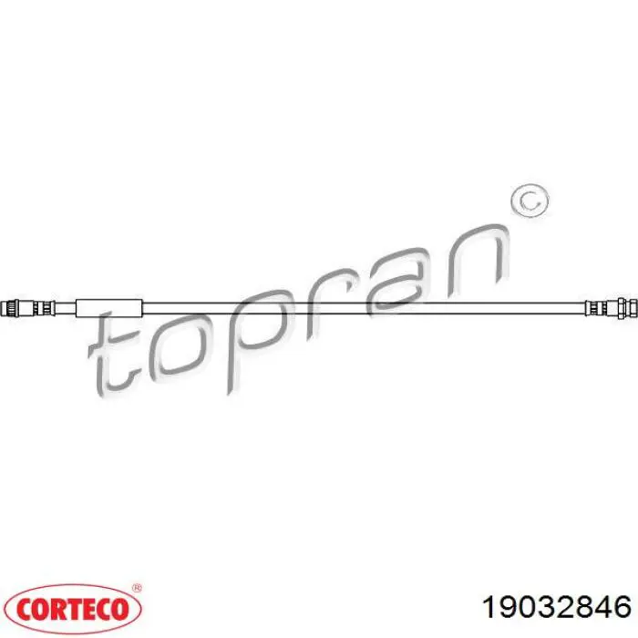 19032846 Corteco tubo flexible de frenos trasero derecho