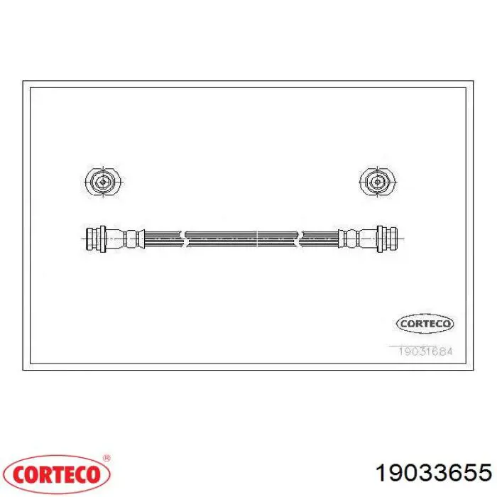 19033655 Corteco