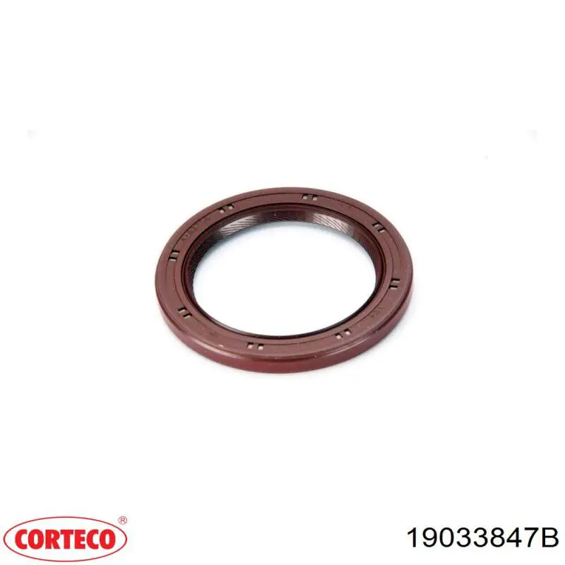 Retén de cigüeñal frontal Corteco 19033847B precio, desde 16,58 EUR