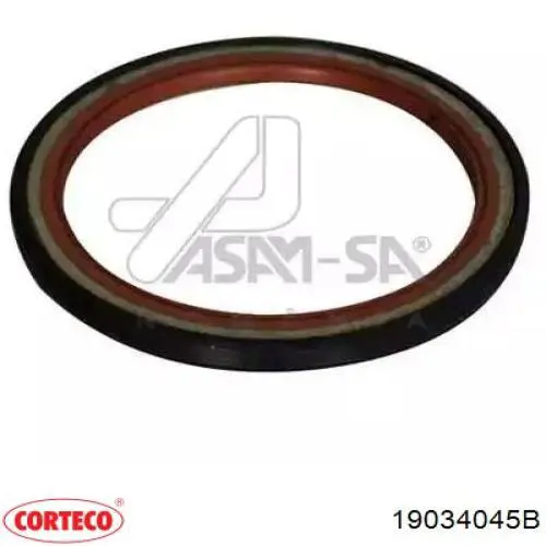 Retén del eje primario de la transmisión Corteco 19034045B precio, desde 5,73 EUR