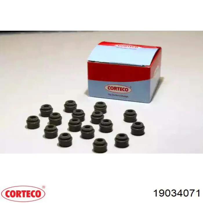 Comprar 19034071 Corteco Juego de retenes de válvula de admisión y escape