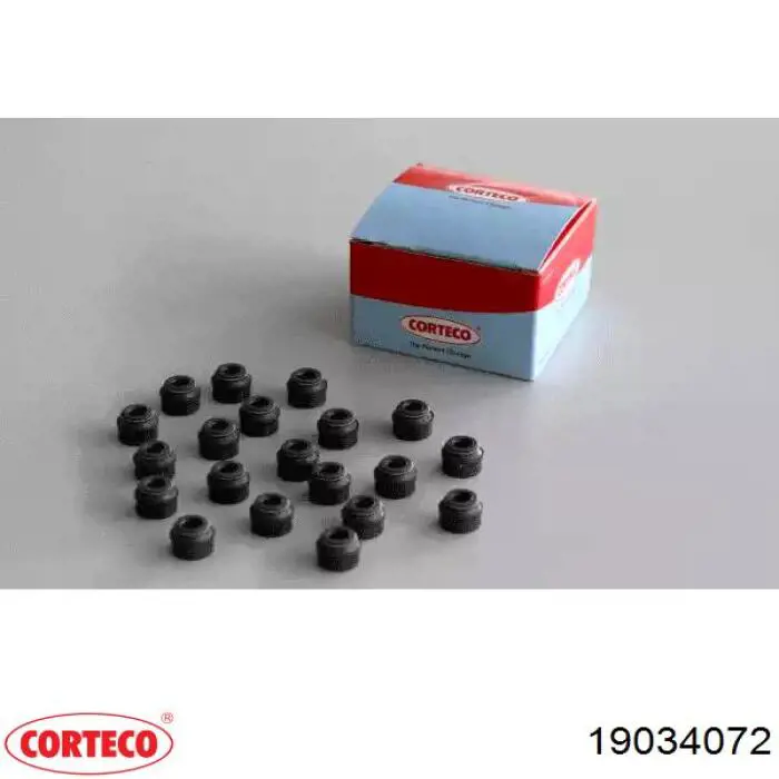 Comprar 19034072 Corteco Juego de retenes de válvula de admisión y escape