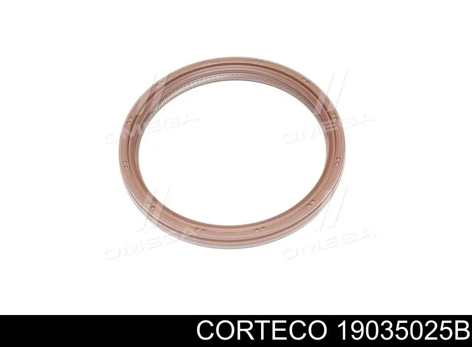 19035025B Corteco Anillo retén cigüeñal
