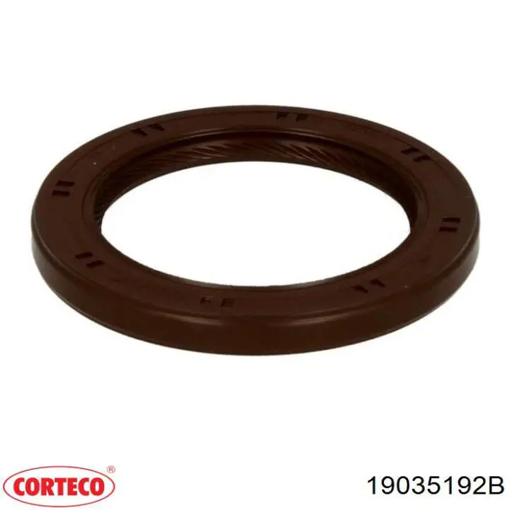 19035192B Corteco Retén de la bomba de aceite del motor