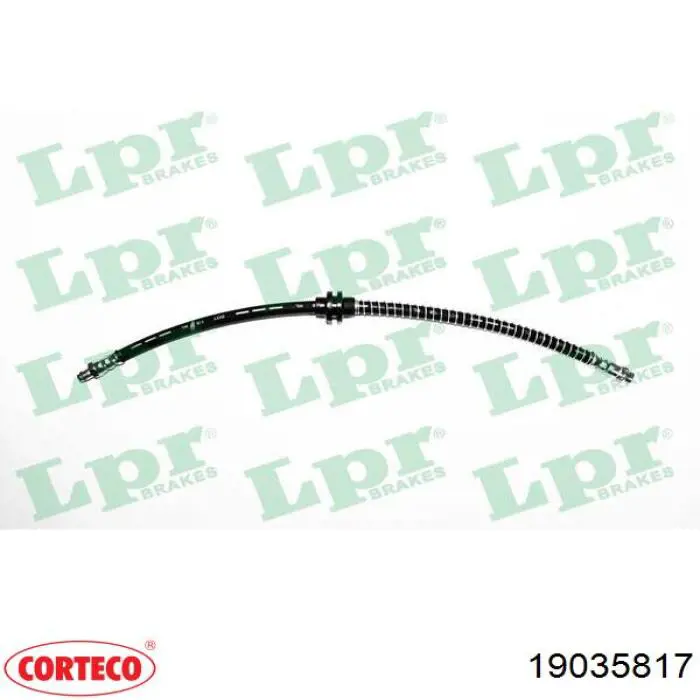 Latiguillos de freno delantero 19035817 Corteco