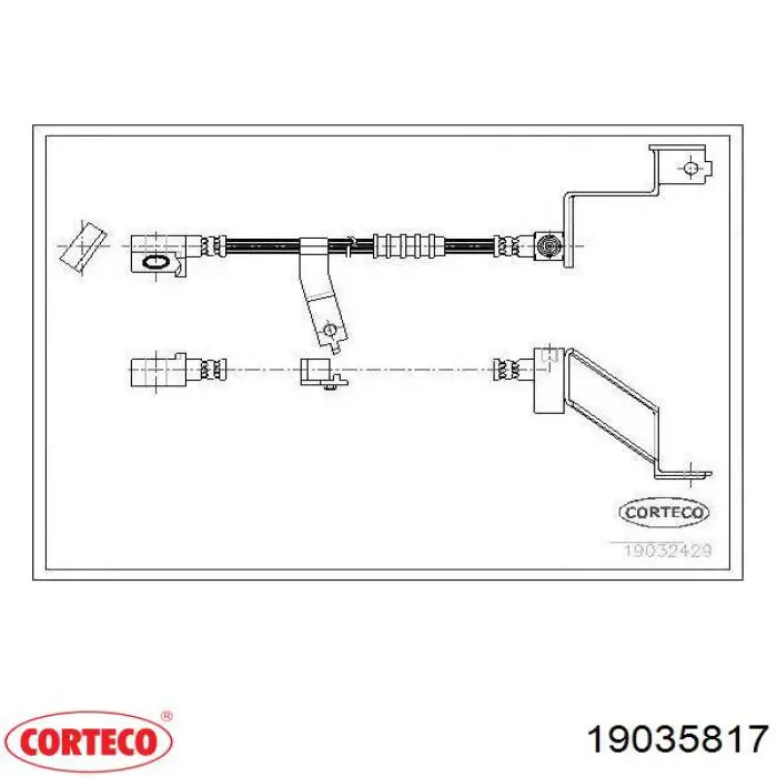 19035817 Corteco Tubo de frenos delantero