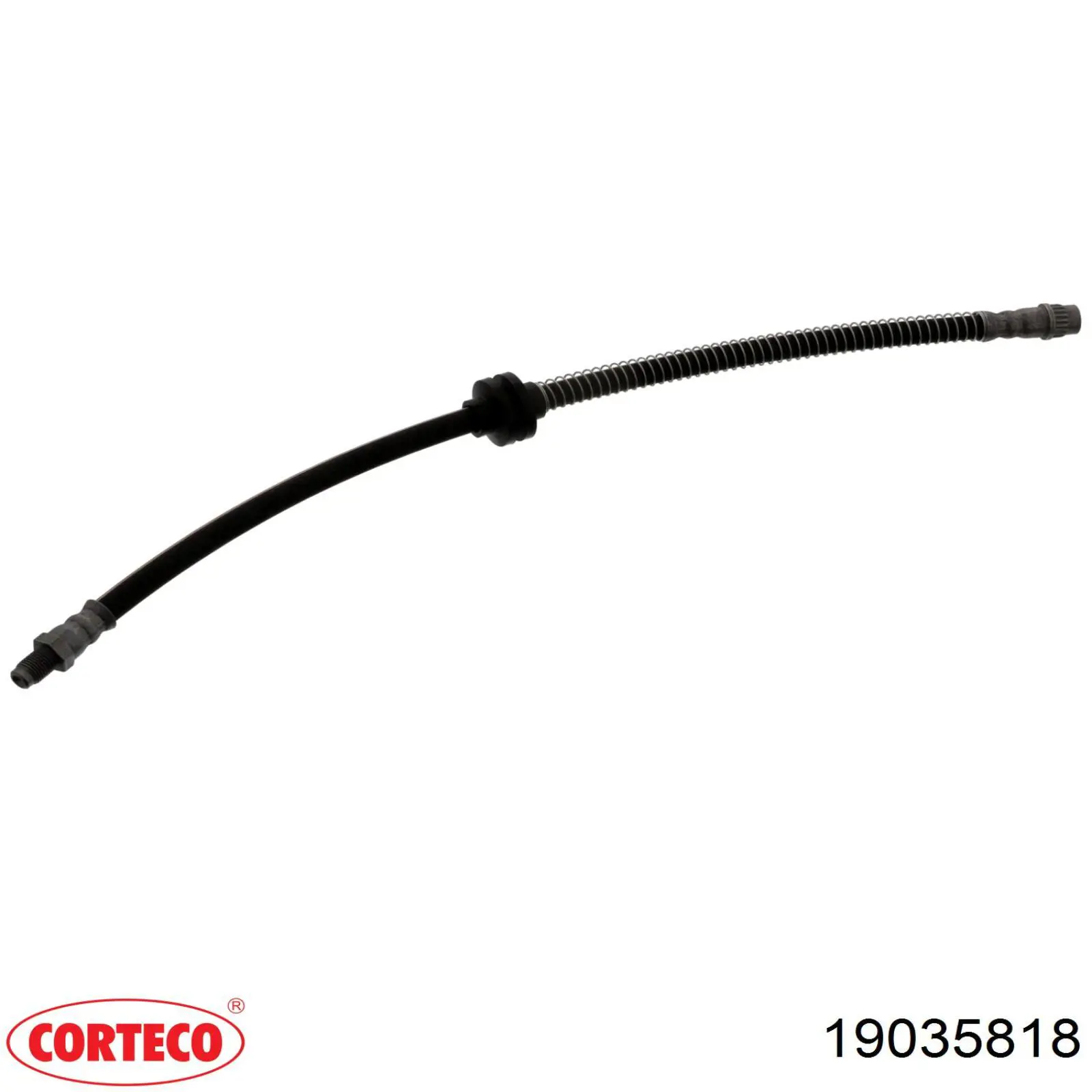 Latiguillos de freno delantero 19035818 Corteco