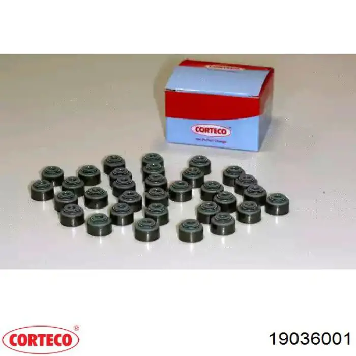 Retenes de válvulas 6020500058 Ssang Yong