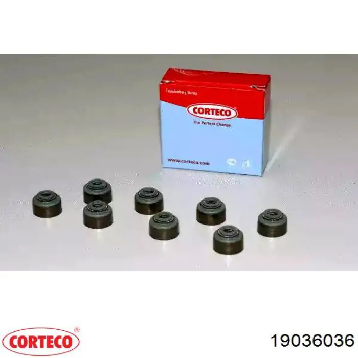 Comprar 19036036 Corteco Sello De Aceite De Valvula (Rascador De Aceite) Entrada/Salida