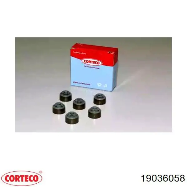 Sello De Aceite De Valvula (Rascador De Aceite) Entrada/Salida Kit De Motor para Citroen C1 (PM, PN)
