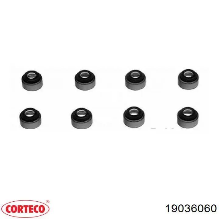 19036060 Corteco 