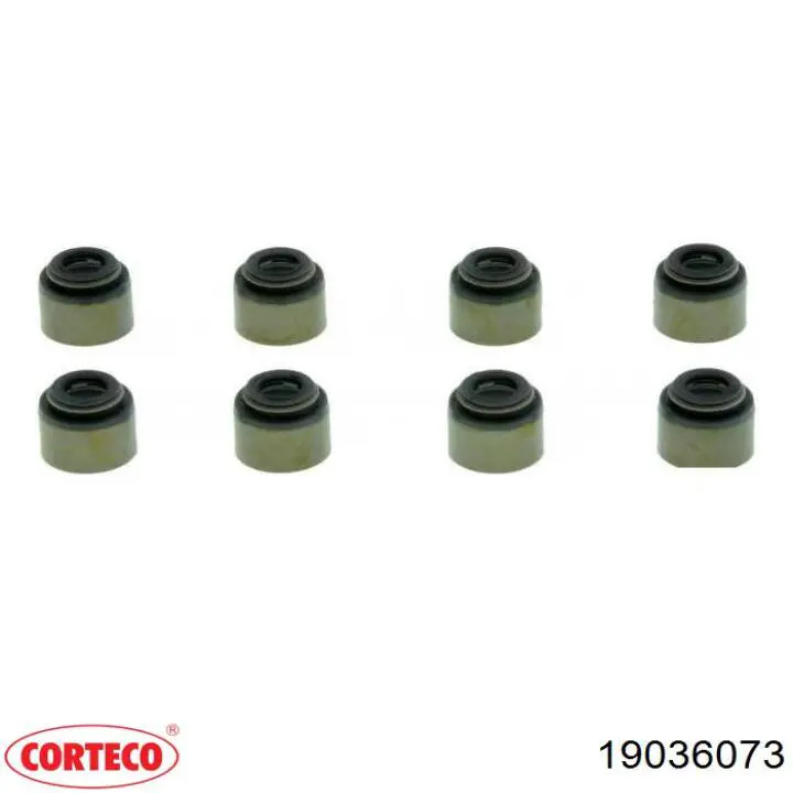 19036073 Corteco