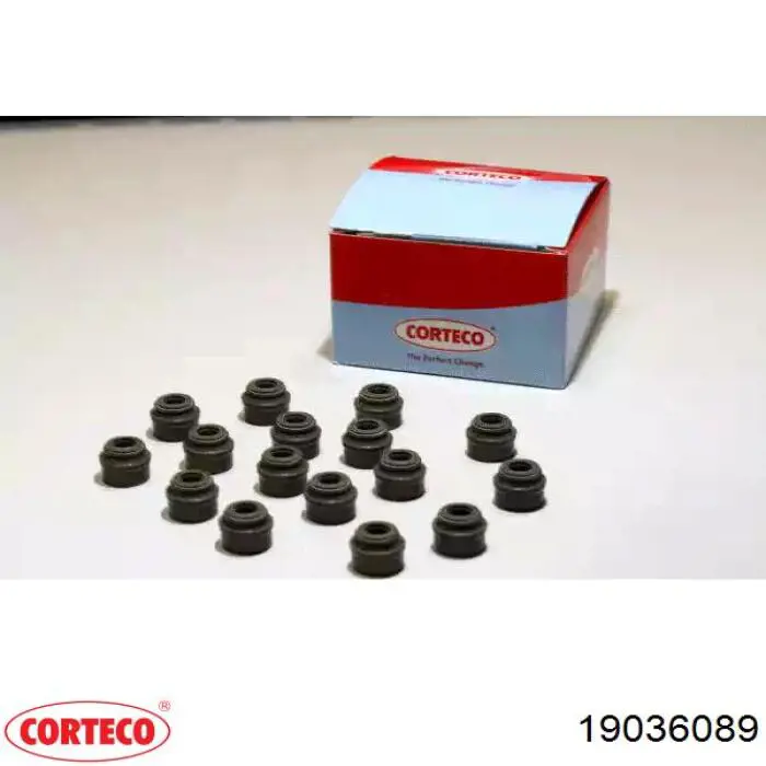 Comprar 19036089 Corteco Juego de retenes de válvula de admisión