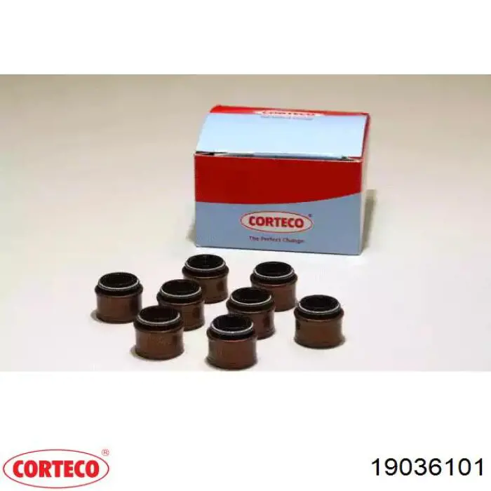 Comprar 19036101 Corteco Juego de retenes de válvula de escape