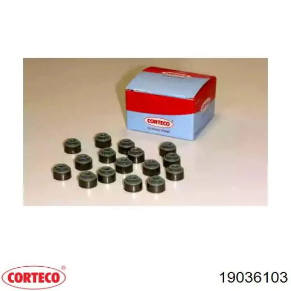 Comprar 19036103 Corteco Juego de retenes de válvula de admisión y escape