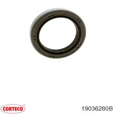 Retén del árbol de levas Corteco 19036280B precio, desde 4,76 EUR