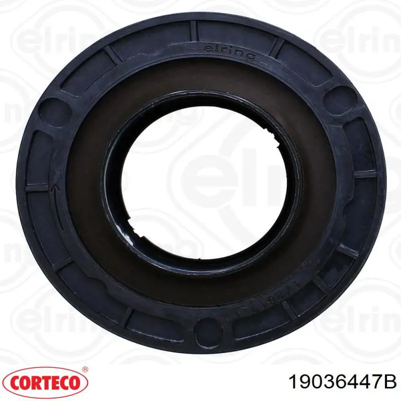 Anillo retén cigüeñal frontal Corteco 19036447B