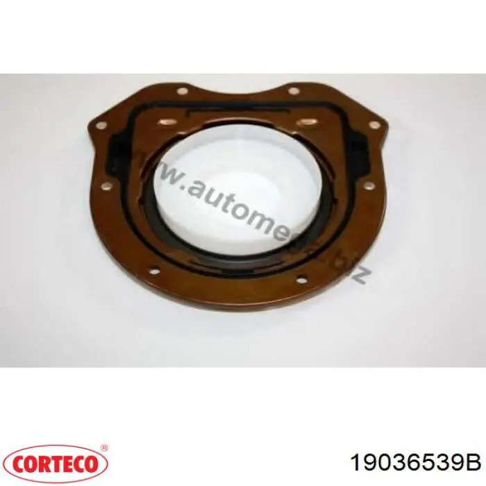 Comprar 19036539B Corteco Retén de cigüeñal