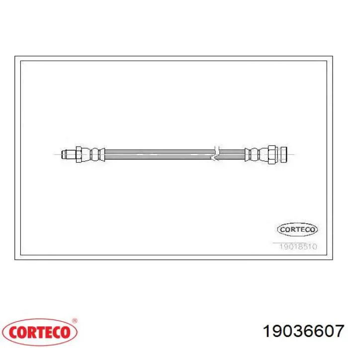 Comprar 19036607 Corteco Latiguillos de freno delantero