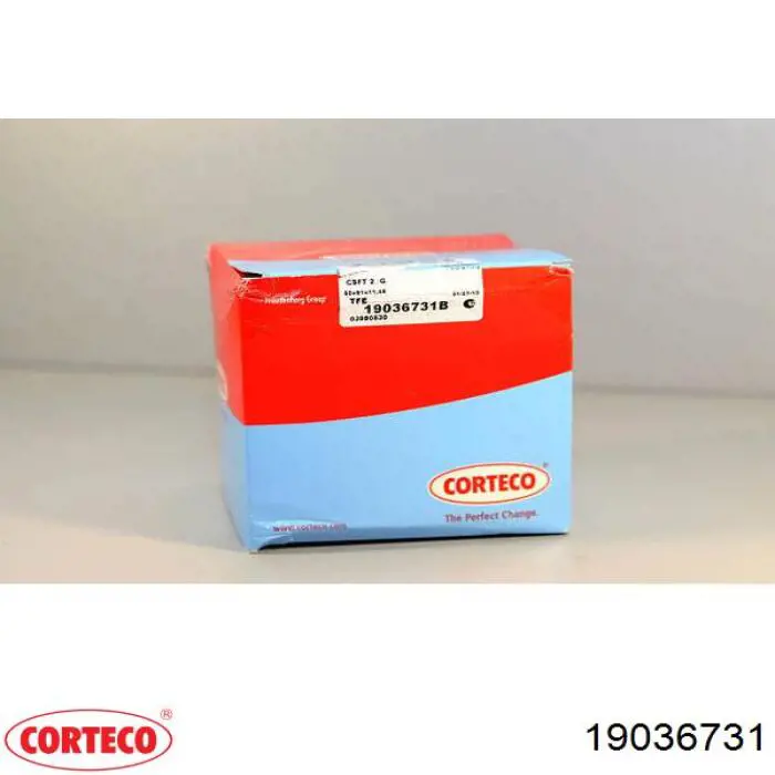 Retén de cigüeñal frontal Corteco 19036731 precio, desde 23,81 EUR