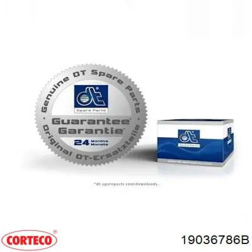 19036786B Corteco