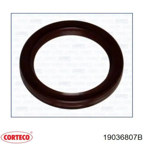 Anillo retén, cigüeñal frontal Audi A2 8Z0