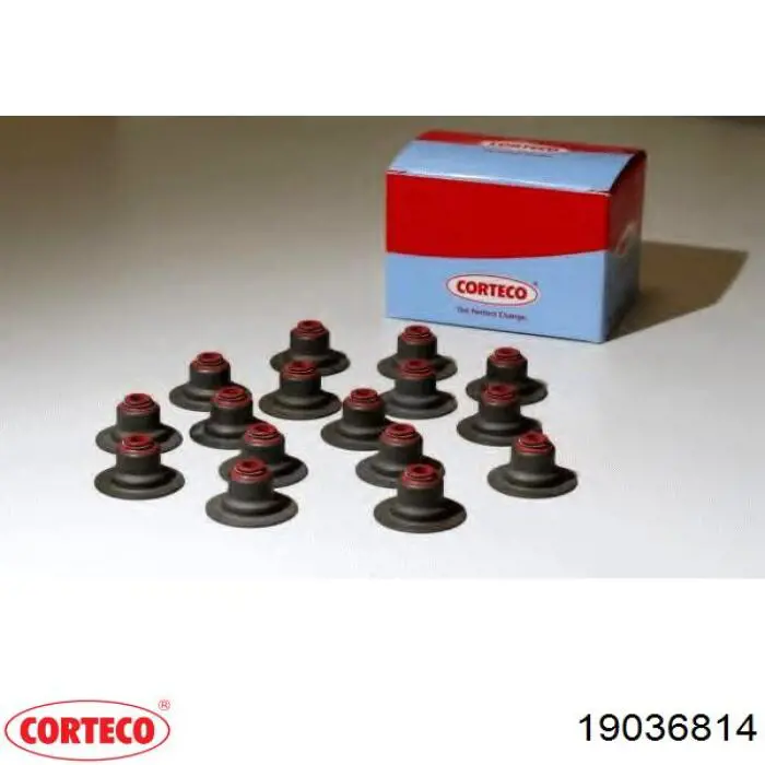 Retenes de válvulas Corteco 19036814 precio, desde 2,50 EUR
