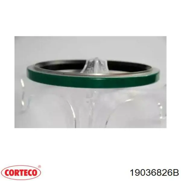 Junta tórica universal Corteco 19036826B precio, desde 7,92 EUR